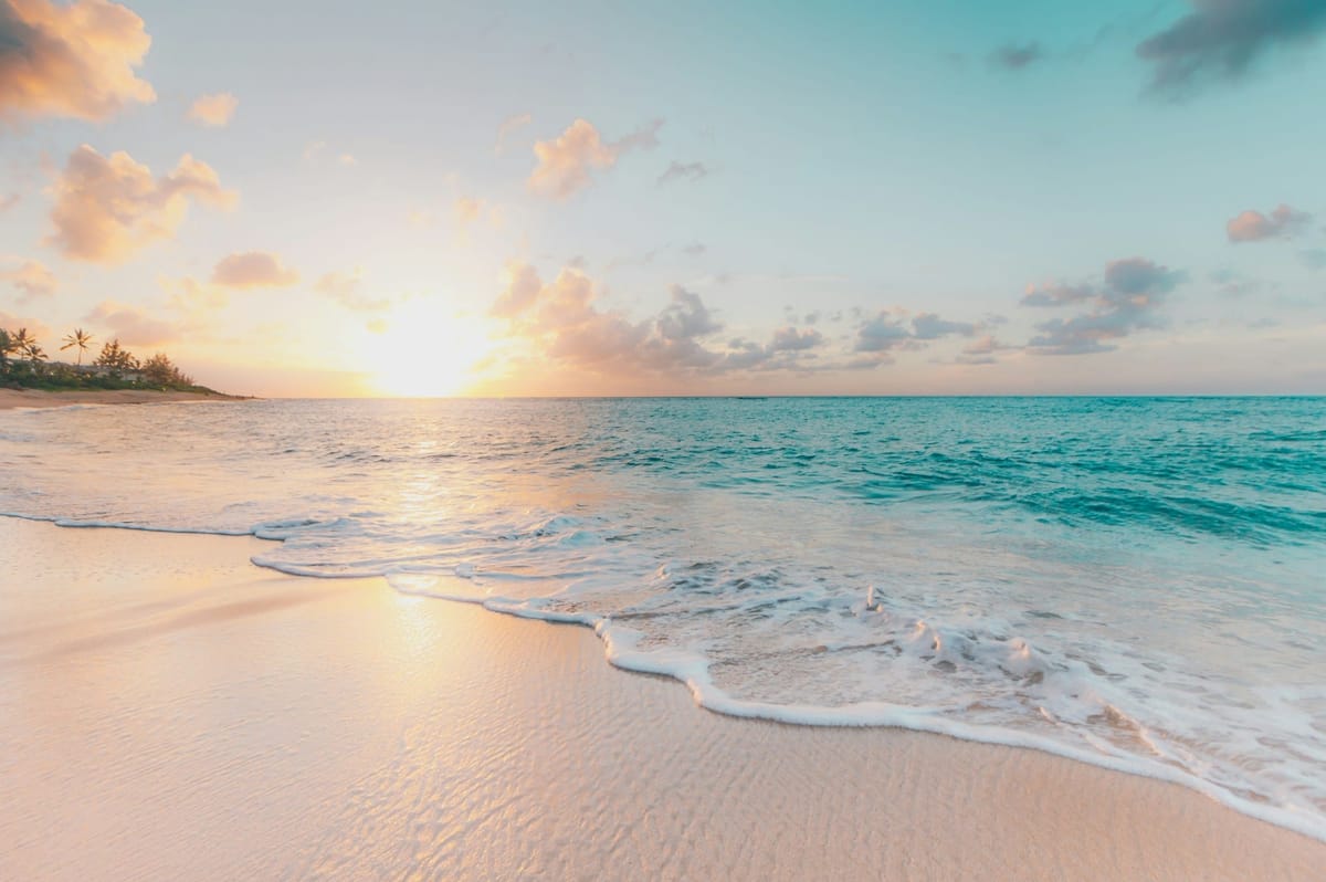 A sunny beach beside turquoise water